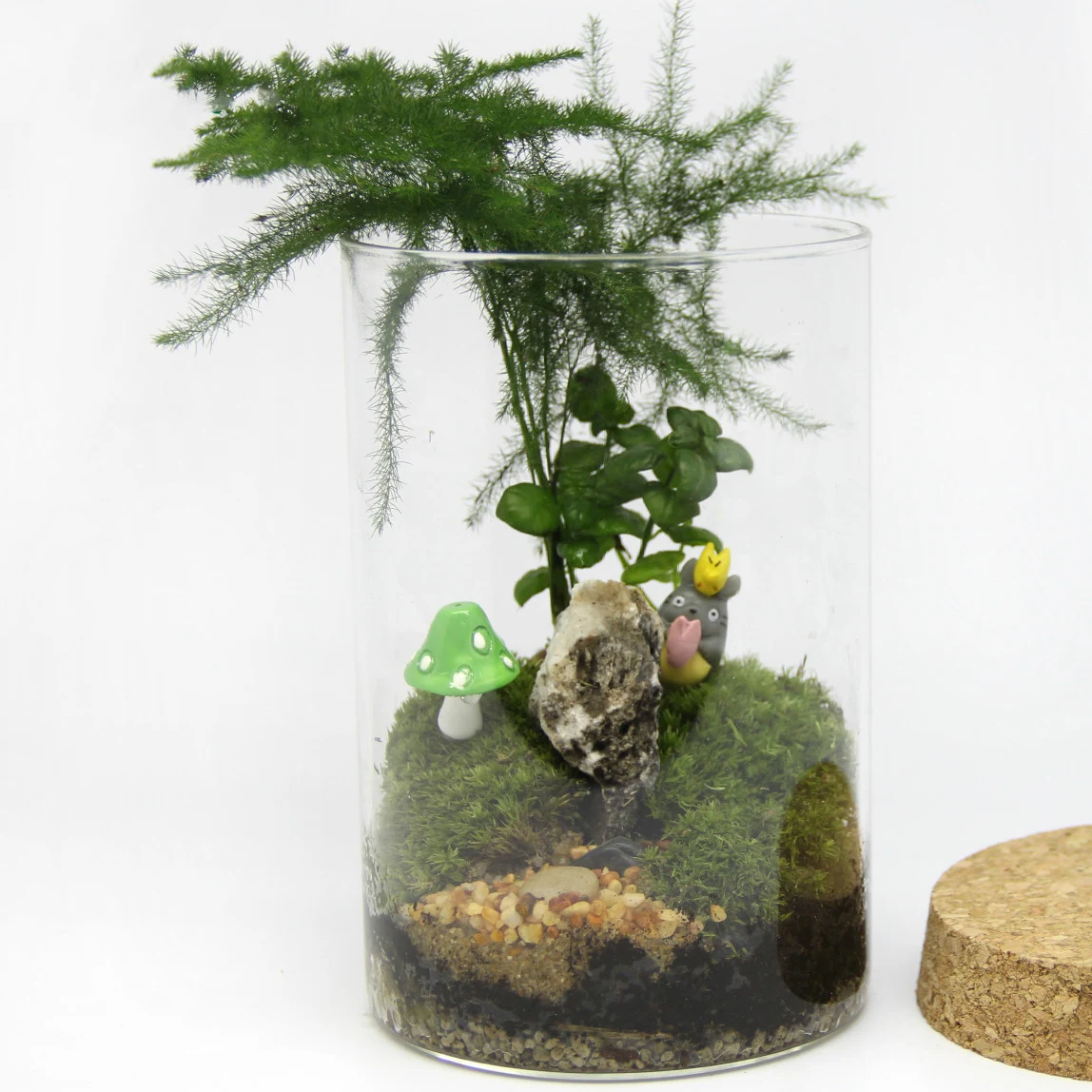 Title 4, Cylindrical Borosilicate Glass Ecological Bottl...
