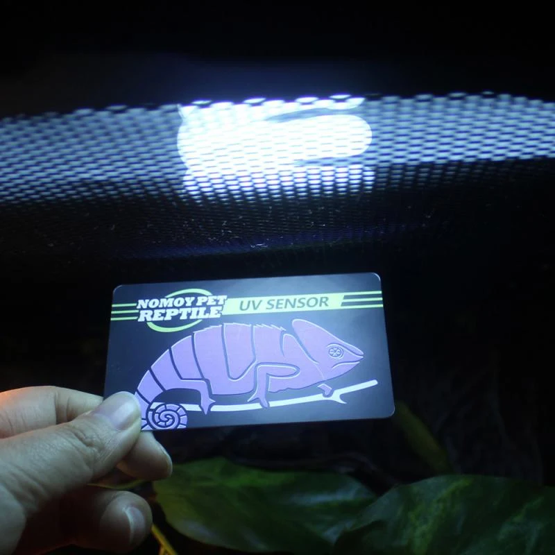 Title 7, Reptile Accessories UVB Light Lamp Bulb Test Ca...