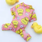 016 Four Pants Pink PiYo PiYo