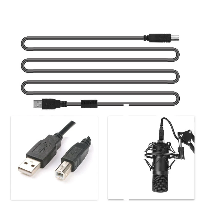 Title 1, Professional microphone set for recording and l...