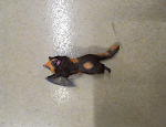miniatures image - 5