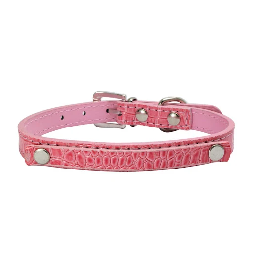 Title 14, DIY Collar con Letras para Perros Personalizabl...