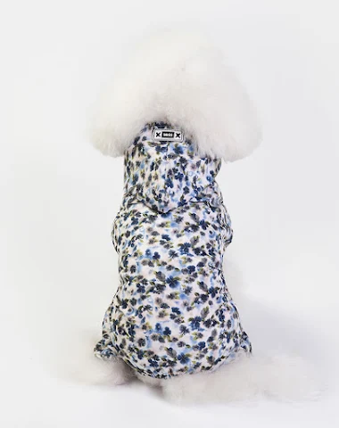Image product - 1