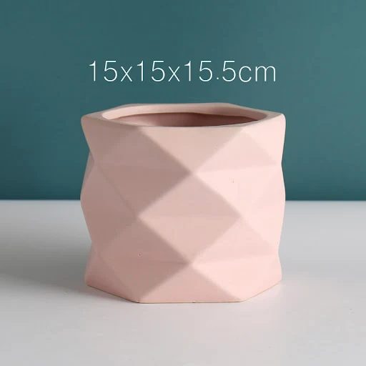 Title 4, Ceramic Flowerpots and Green Plants