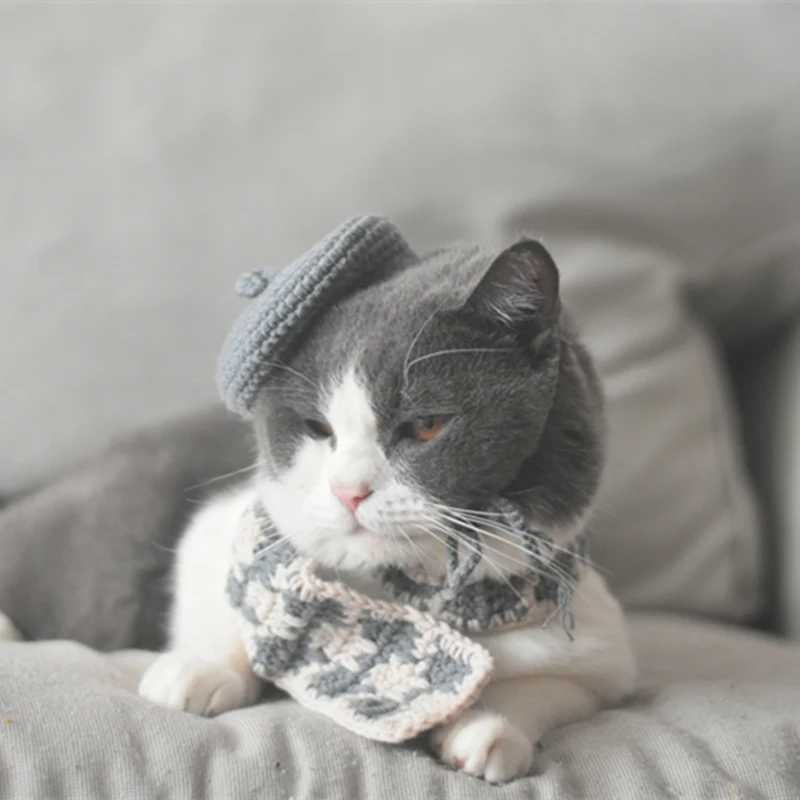 Title 10, Small Hat Beret Knitting Plaid Small Scarf Dog ...
