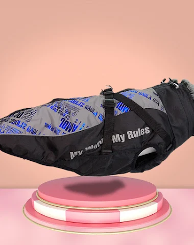 Image product - 2