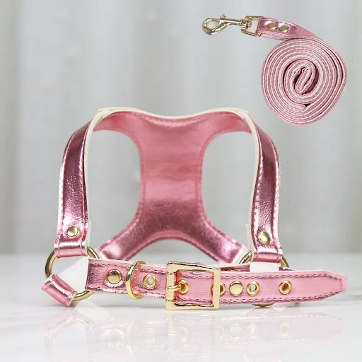 Title 6, Traction Suit Small and Medium Dog Leash, secur...