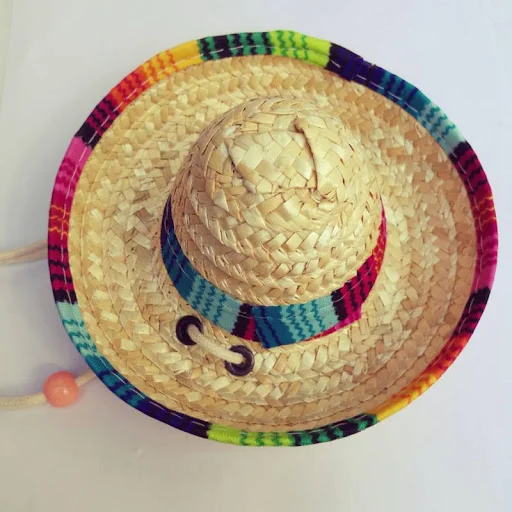 Title 3, Straw mini pet hat for sun protection and adora...