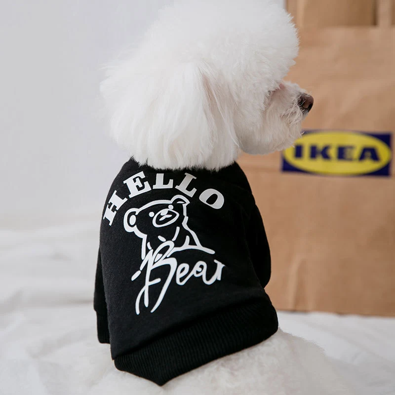 Title 4, Fashion Dog Bear Printed Sweater, keep your dog...