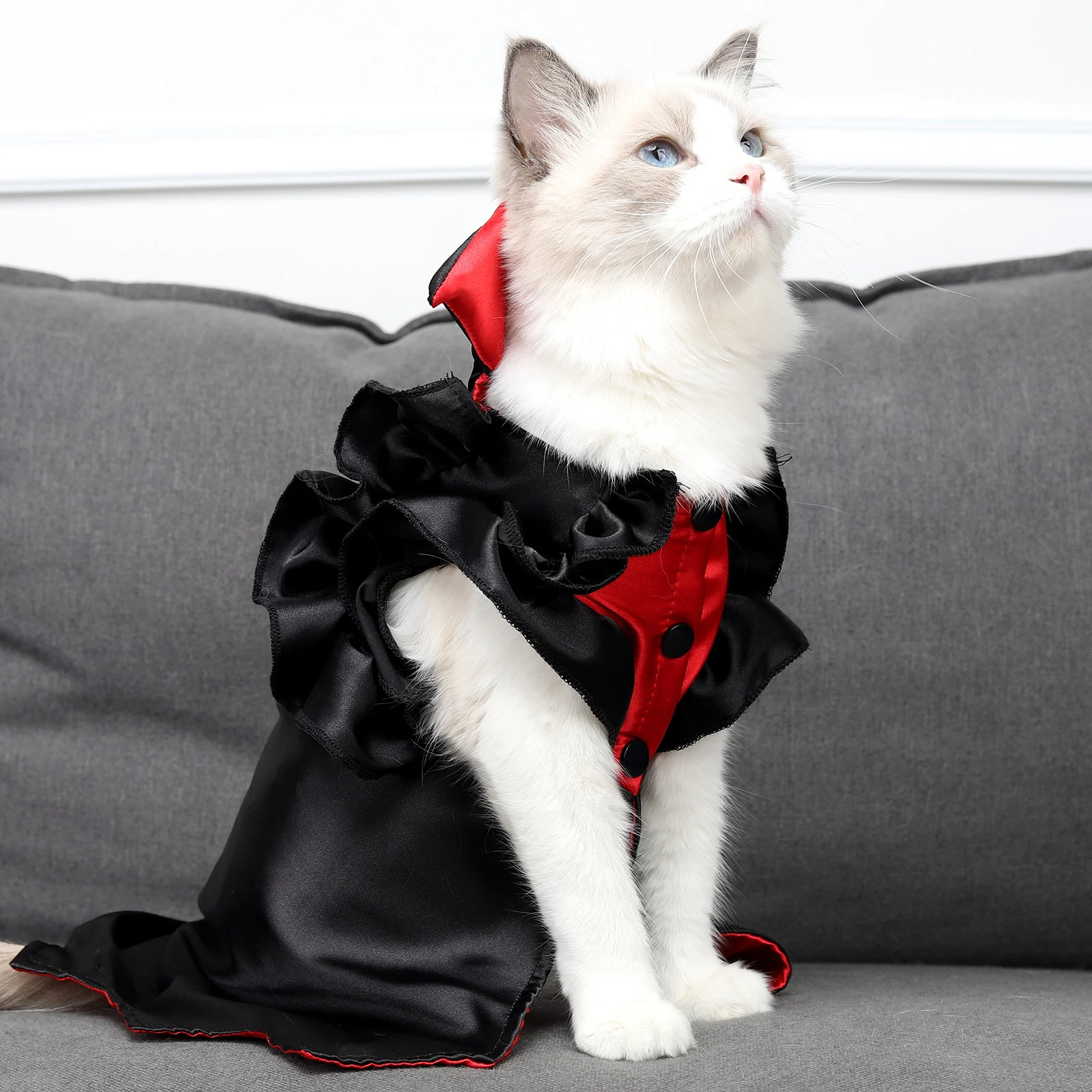 Cat Halloween Vampire Transformation Costume — photo 4