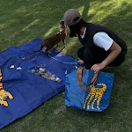miniatures image - 9