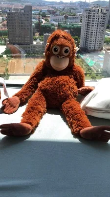 product image - 1