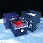 miniatures image - 12
