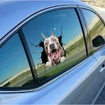 Creative Simulation Pet Decoration Stickers — photo 23
