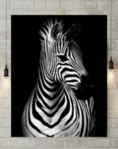 Image product - 0