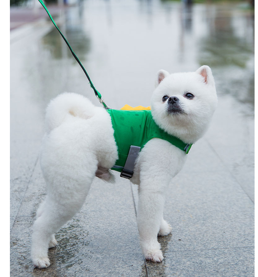 product image - 5