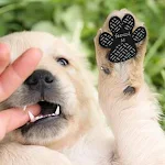 4-Pack Dog Anti Slip Paw Grips Traction Pads Dog Paw Protection Stickers with Stronger Adhesive for Hard Floor or Injuri — photo 4