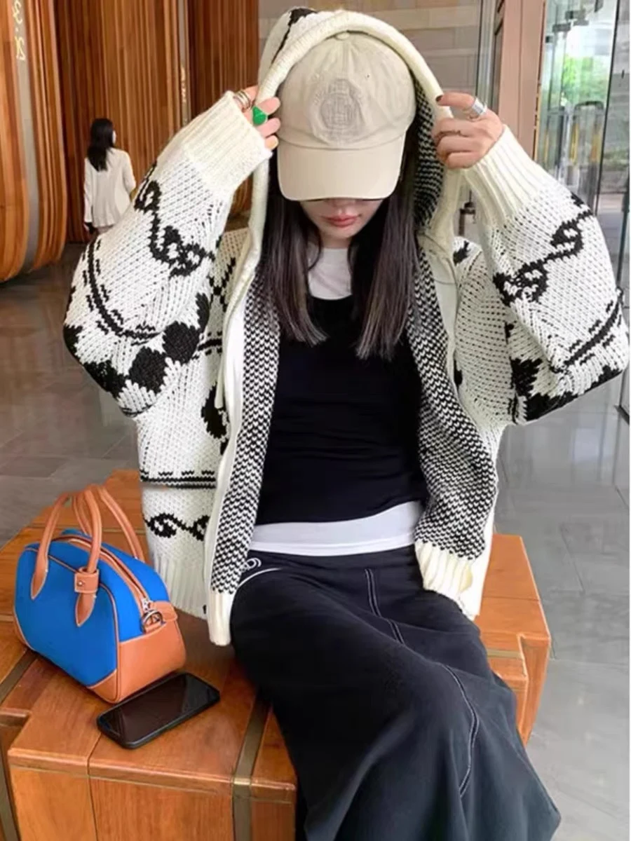 Title 4, Vintage Jacquard Contrast Color Hooded Sweater ...