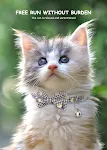 miniatures image - 17