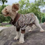 Spring and Autumn Clothes Leopard Print Dog Apparel. Provides comfort and style for your canine friend, perfect for tran — photo 5