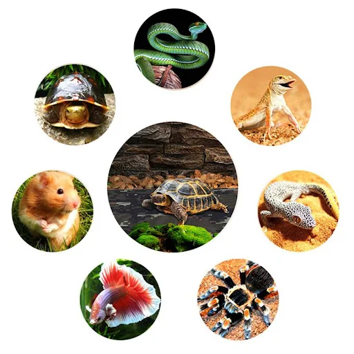 product image - 5
