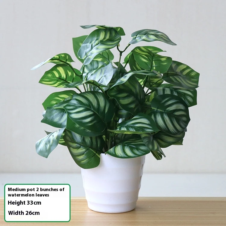 product image - 11