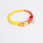 Collar Rainbow