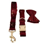 Dog Circle Dog Rope Bow7