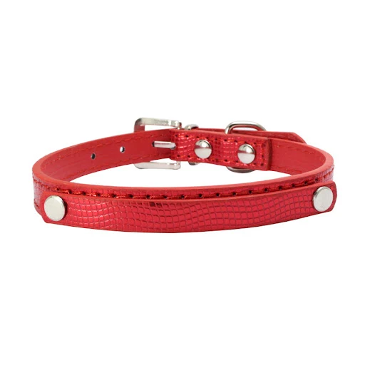 Title 4, DIY Collar con Letras para Perros Personalizabl...