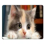 miniatures image - 19