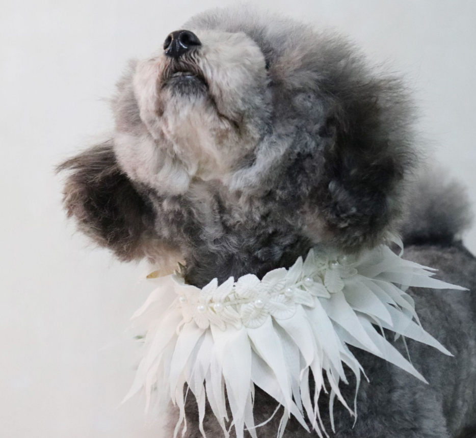 Hula Tarzı Evcil Hayvan Tasması Köpek Salya Havlusu Önlüğü, Hawaii tarzı, salyayı emer, rahat ve şık bir aksesuar — Fotoğraf 2