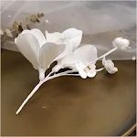 miniatures image - 1