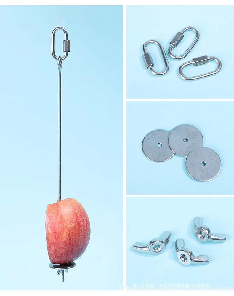 Parrot Stainless Steel Fruit Fork Hanging Toy, encourages playtime and activity, durable and safe, provides mental stimu — photo 12