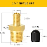 miniatures image - 1
