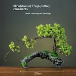 Simulation Arborvitae Pot