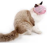 Cats Anti Bite Muzzles New Breathable Mesh Cat Travel Tools Bath Beauty Grooming Supplies Cat Bathing Bag Bathing Pet Su — photo 5