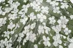 miniatures image - 9