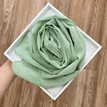 Summer bamboo color