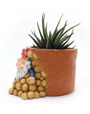 Image product - 1
