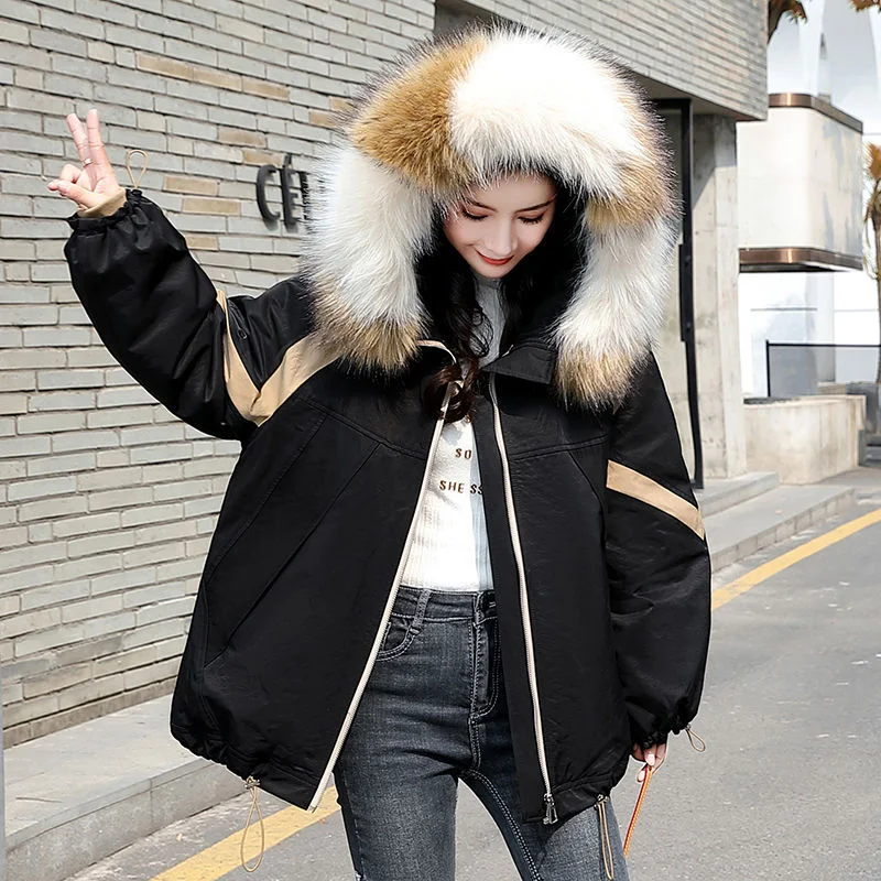Pai Overcome Giacca Corta Invernale da Donna in Cotone Calore e Comfort per l'Inverno Perfetta per Uso Quotidiano e Attività all'Aperto Design Versatile e Trendy — foto 2