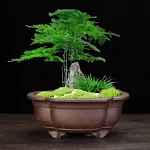 miniatures image - 5