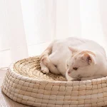 miniatures image - 9