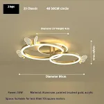 2 Rings 55W