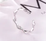Sliver