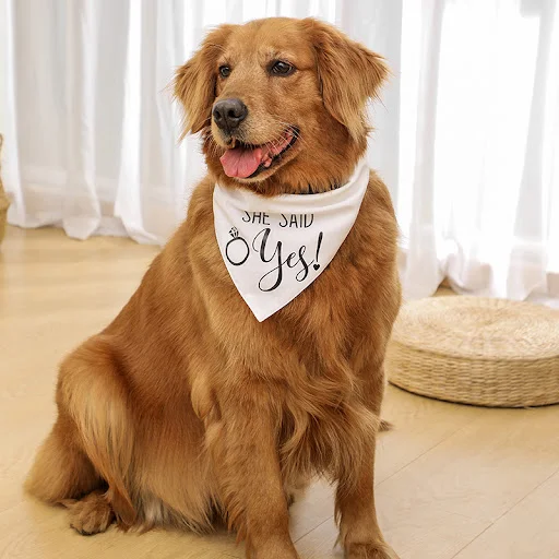 Fashion Dog Wedding Triangle Bandanas Letter Pattern Pet Triangle Scarf Adjustable Soft Bib for Medium Large Dog Pet Acc — photo 6