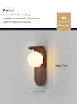 Walnut 25CM Warm Light
