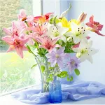miniatures image - 1