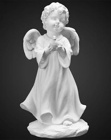 Image product - 1