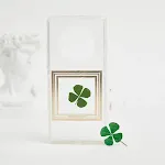 Huawei mete40 four leaf clover