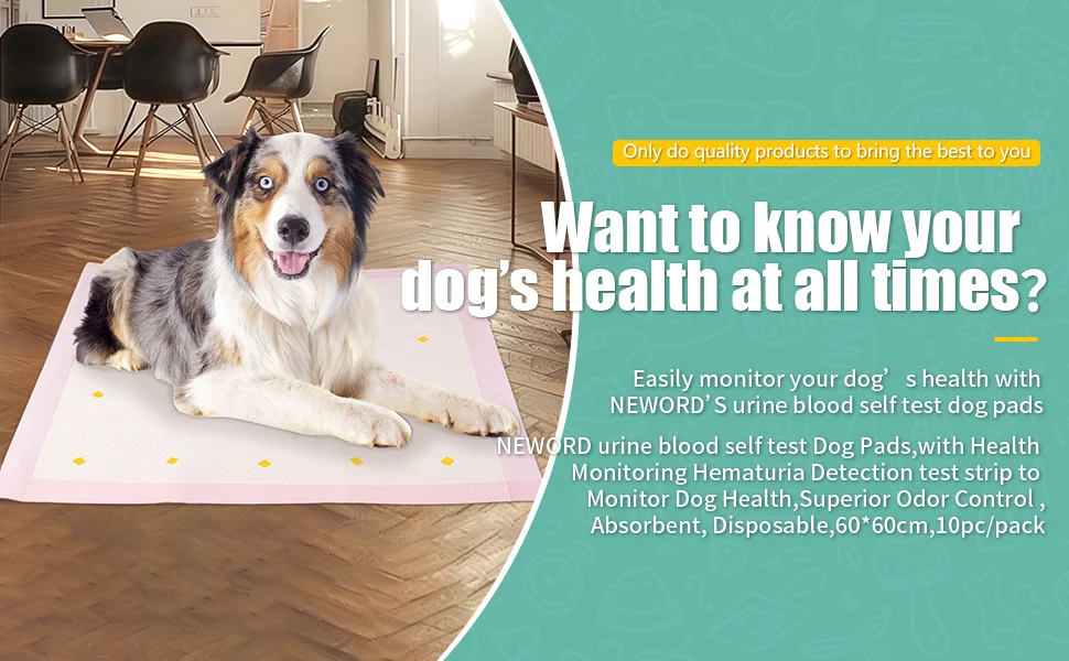 Title 2, Dog Detection Urine Pad protects your home from...